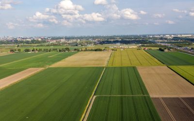 Regelgeving scheuren grasland