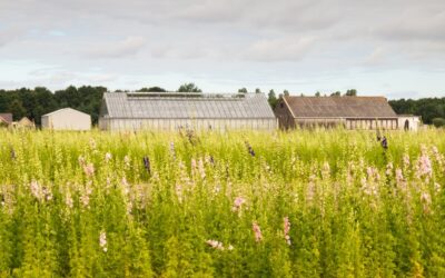 Bestemmingswijziging levert belastbare winst op